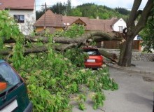 Kwikfynd Tree Cutting Services
tweedheadswestnsw
